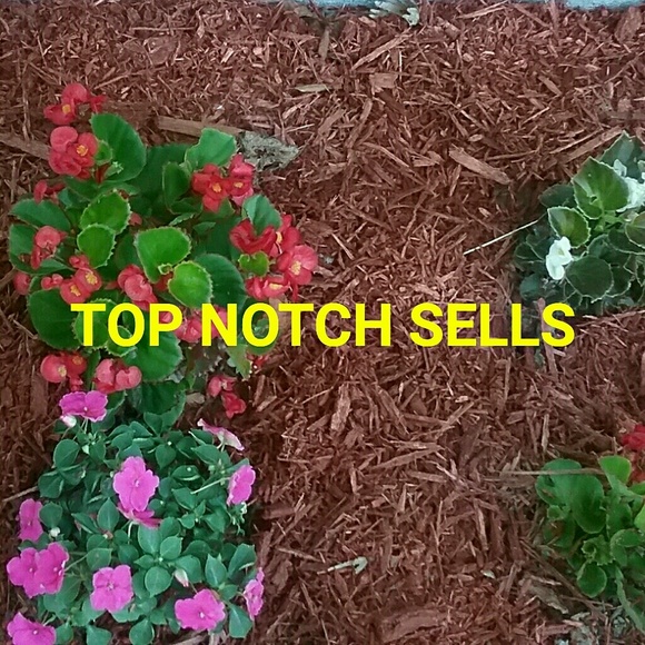 topnotchsells